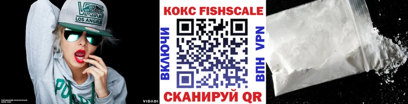 Кокаин FishScale  дарк нет состав  Катав-Ивановск 